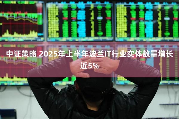 中证策略 2025年上半年波兰IT行业实体数量增长近5%