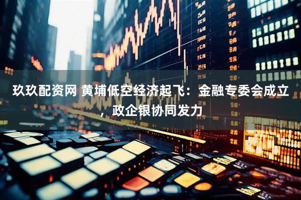 玖玖配资网 黄埔低空经济起飞：金融专委会成立，政企银协同发力